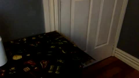 HairyBrownGuy online show from 02-08-26, 01:03