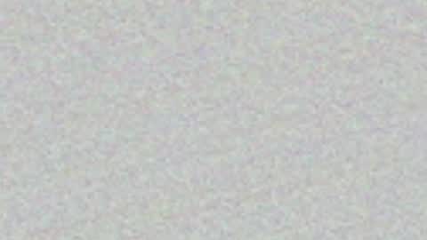 FeleenaFux online show from 05-03-26, 07:20