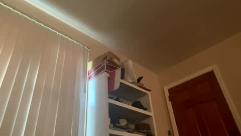 felicitybliss29 online show from 12-03-24, 08:50