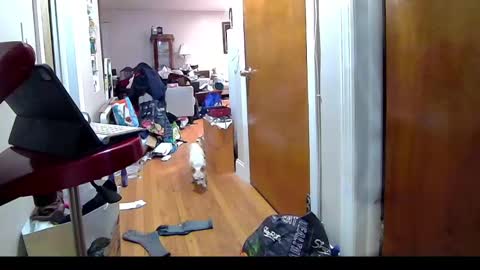 felicitybliss29 online show from 11-06-25, 04:24