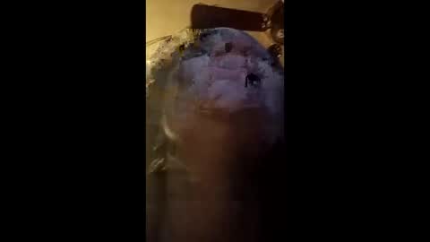 fellatio13 online show from 05-06-26, 05:57