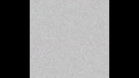 Snapshot of femboy_fangs chatting on 12-01-25, 04:50 femboyfangs online show from 12-01-25, 04:50