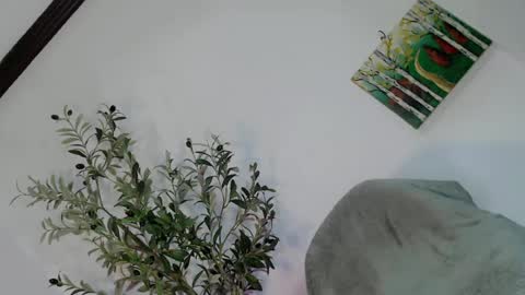femboy_veronica online show from 05-03-26, 06:19
