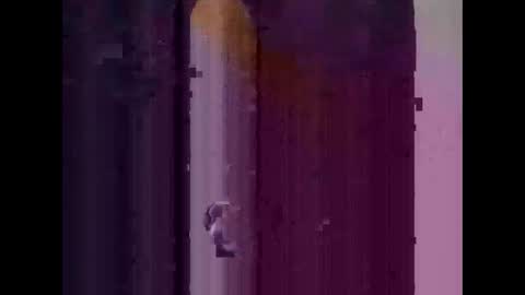 Snapshot of feog197475512 chatting on 11-03-25, 03:30 feog197475512 online show from 11-03-25, 03:30