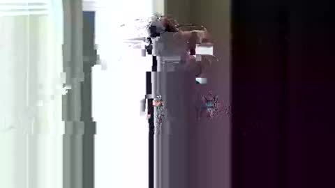 Snapshot of fer28639 chatting on 04-11-26, 04:44 fer28639 online show from 04-11-26, 04:44