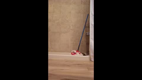 fetishdad863 online show from 04-22-26, 02:18