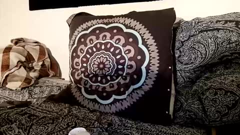fezzyqt online show from 10-19-25, 09:26