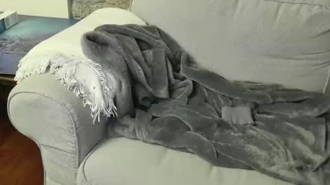 Fid online show from 01-06-26, 08:45