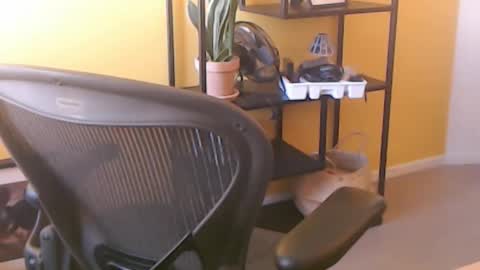 filip907 online show from 09-25-25, 11:25