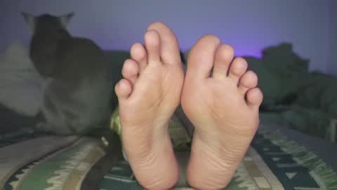 Ashley online show from 12-19-24, 12:02