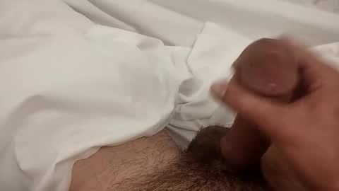 Snapshot of firulaiiiiiiiii chatting on 10-27-25, 10:41 DickMoon online show from 10-27-25, 10:41
