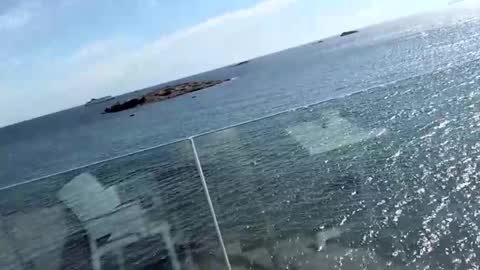 fischandchip online show from 10-11-25, 10:47