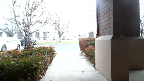 pain slut daren online show from 12-16-24, 05:33