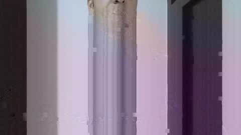 fitchestabs_69 online show from 04-14-26, 09:43