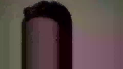 Nate online show from 06-10-26, 08:24