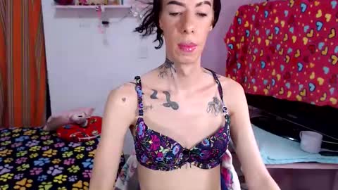 Snapshot of flacats23cm chatting on 05-29-26, 07:56 flats23cm online show from 05-29-26, 07:56