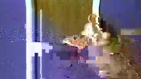 Snapshot of flex480 chatting on 02-17-26, 01:24 flex480 online show from 02-17-26, 01:24