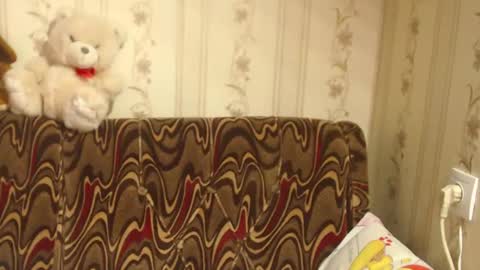 say meow and send tip  online show from 02-27-25, 08:50