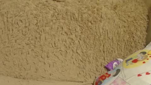 say meow and send tip  online show from 12-26-24, 01:07