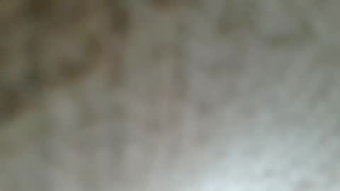 Snapshot of flyn12 chatting on 02-21-26, 12:11 flyn12 online show from 02-21-26, 12:11