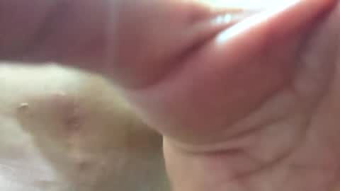 Snapshot of follador6543 chatting on 06-01-26, 12:56 follador6543 online show from 06-01-26, 12:56