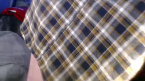 forestnymphpdx online show from 12-24-24, 08:55