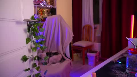 Senya  subscribe to telegram channel  online show from 12-02-25, 04:51