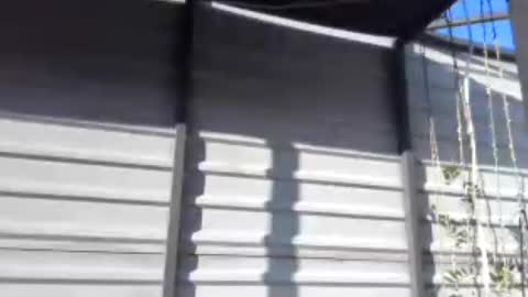 fox_red_lady7 online show from 07-30-26, 04:06