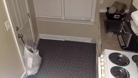 foxdarling96 online show from 12-20-25, 05:36