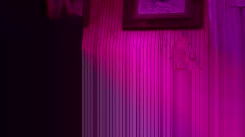 foxrun2 online show from 02-26-26, 11:09