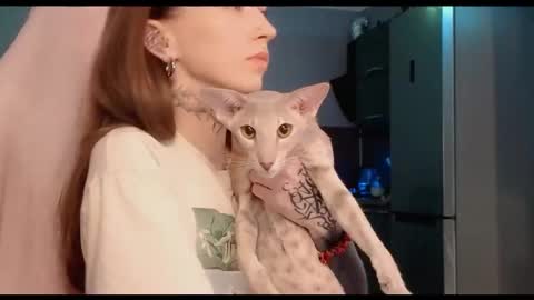 Snapshot of fran_bow chatting on 10-02-25, 12:17 fran_bow online show from 10-02-25, 12:17