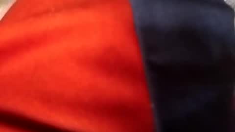 francis158915 online show from 09-11-25, 05:02