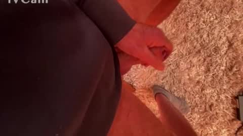 franzleo2903 online show from 03-04-26, 07:36