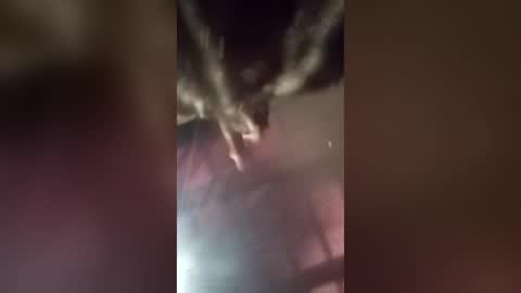 freakyrickyyy6 online show from 06-18-26, 03:38