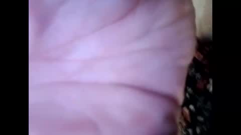 frecklesandsparky online show from 04-04-26, 02:25
