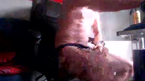 yo online show from 02-28-26, 08:15