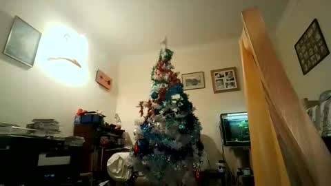 Keith online show from 12-05-24, 07:49