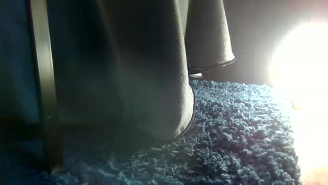 Snapshot of fredthetom12 chatting on 01-16-25, 06:59 Greedy Fred online show from 01-16-25, 06:59