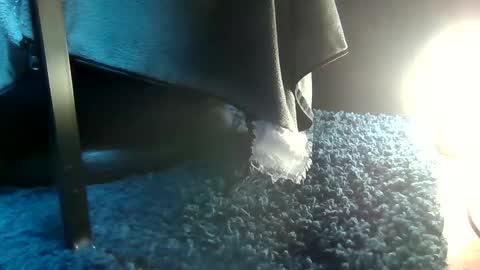 Snapshot of fredthetom12 chatting on 02-15-25, 04:45 Greedy Fred online show from 02-15-25, 04:45