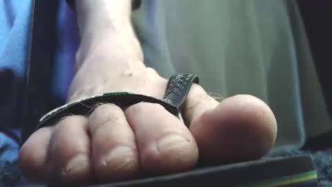 Greedy Fred online show from 02-05-26, 02:54