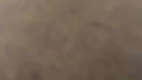 Snapshot of freezeme2021 chatting on 07-08-26, 11:31 Daddy online show from 07-08-26, 11:31