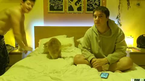 French Horny Bibs online show from 01-26-25, 08:02