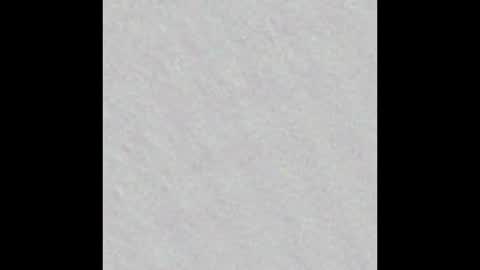 Snapshot of freya_stonee chatting on 01-28-25, 11:17 Freya online show from 01-28-25, 11:17