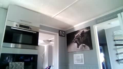 Snapshot of friskyneedsum chatting on 12-02-25, 10:53 bob online show from 12-02-25, 10:53