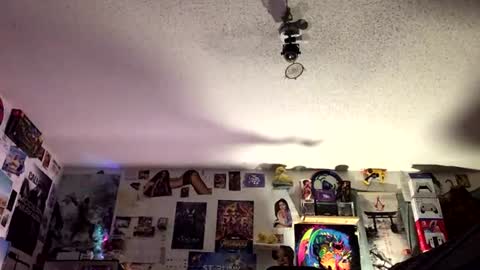 Fabian online show from 06-22-26, 04:20