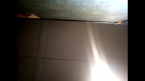 Warwick online show from 12-10-24, 07:37