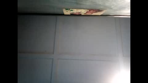 Snapshot of fucmebudoo chatting on 12-11-24, 07:31 Warwick online show from 12-11-24, 07:31