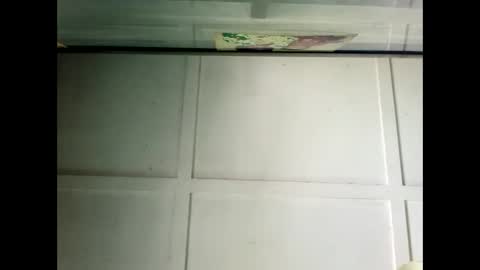 Snapshot of fucmebudoo chatting on 12-19-24, 02:56 Warwick online show from 12-19-24, 02:56