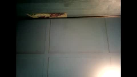 Snapshot of fucmebudoo chatting on 12-21-24, 01:26 Warwick online show from 12-21-24, 01:26