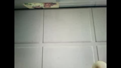 Snapshot of fucmebudoo chatting on 12-29-24, 02:38 Warwick online show from 12-29-24, 02:38